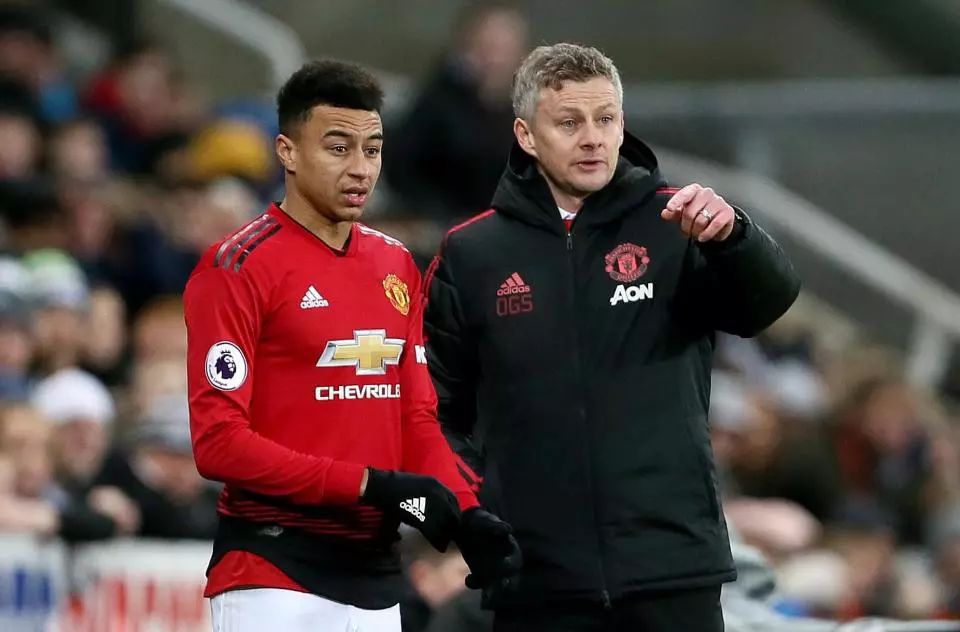 的高度协作 的高度协作